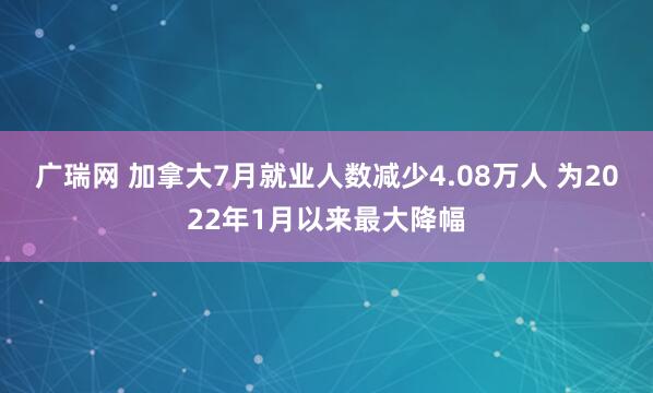 广瑞网 加拿大7月就业人数减少4.08万人 为2022年1月以来最大降幅